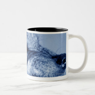 Verwirrungswolf (CanisLupus), Profil (Digital Zweifarbige Tasse