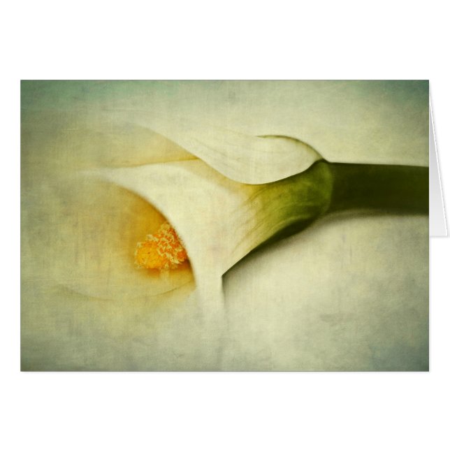 Verwischt (Vorderseite (Horizontal))