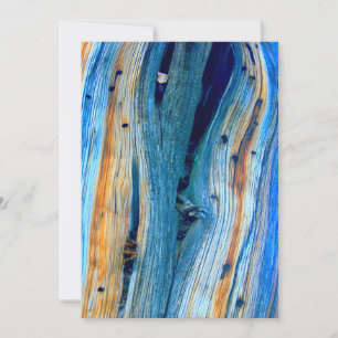 verwitterte blaue Stallplatten