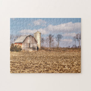 Verwitterte Scheune & Silo im Maisfeld
