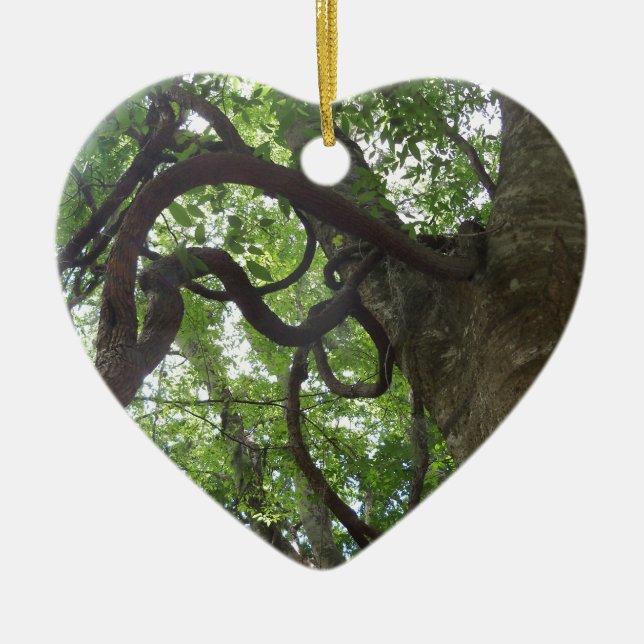 verworrene alte Weinreben in Bäumen Keramik Ornament (Vorne)