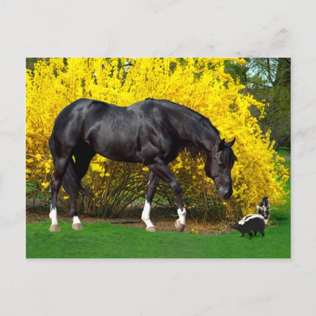 Very Bad Idea Postkarte (Vorderseite)