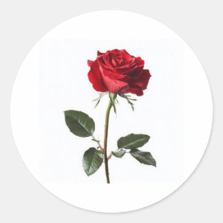 Very beautiful, 👍 nice design runder aufkleber