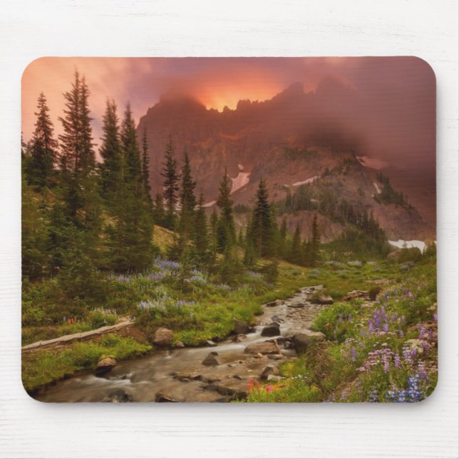 Verzauberte Wiesen Mousepad (Vorne)