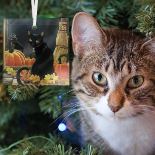 Verzauberter mondbeschienener schwarzer Herbstkatz Ornament Aus Glas