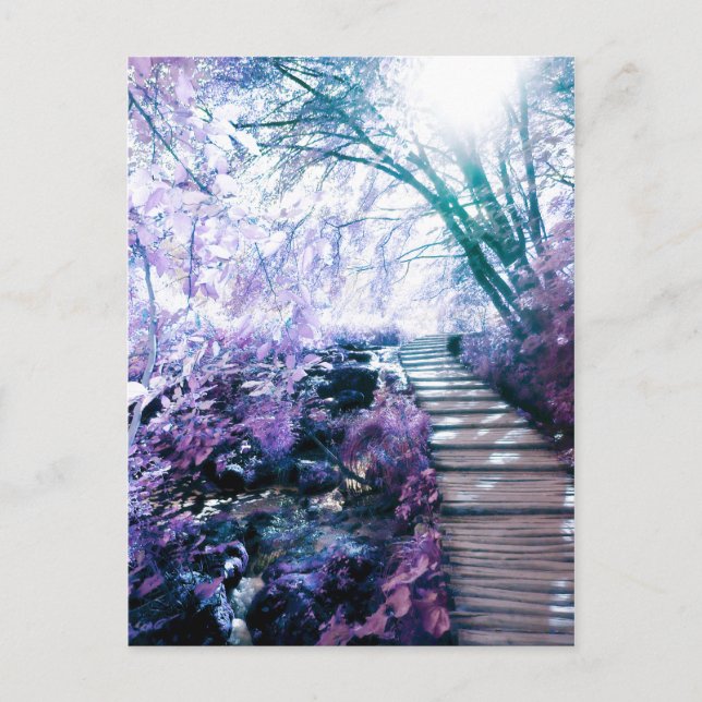 verzauberter Pfad Postkarte (Vorderseite)