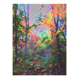 Verzauberter Wald Fotodruck