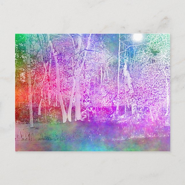 verzaubertes Holz Postkarte (Vorderseite)
