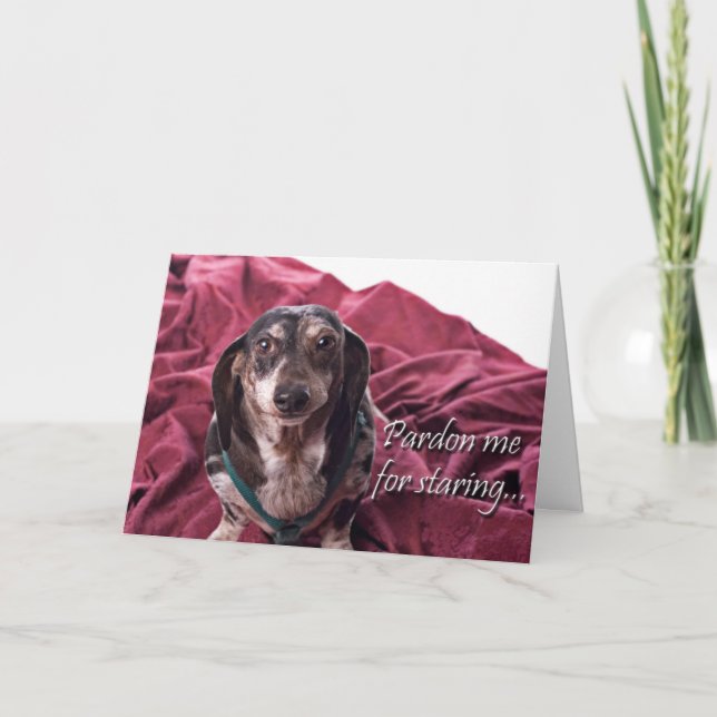 Verzeihung - Dachsund Geburtstagskarte Karte (Vorderseite)
