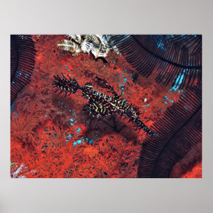 Verziert Ghost Pipefish Poster