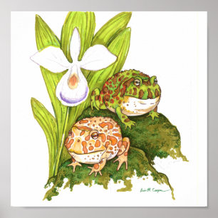 Verzierte gehörnte Frösche Poster