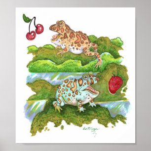 Verzierte Hornfrösche, die Früchte jagen Poster