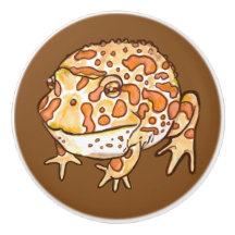 Verzierte Hornfrosche