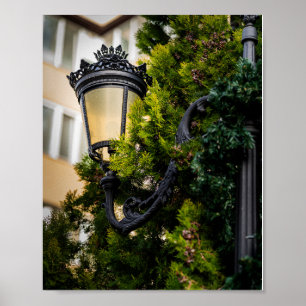 Verzierte schwarze Straßenlaterne aus Gusseisen Poster