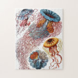 Verzierte Vintage Quallen<br><div class="desc">Schönes Puzzlespiel mit Vintager Illustration durch Ernst Haeckel der verschiedenen Quallenart.</div>