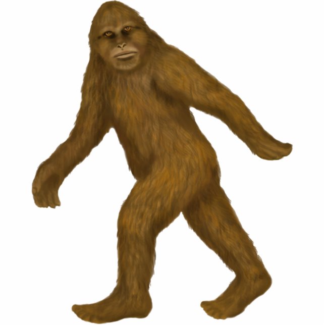 Verzierung Bigfoots in Bewegung Fotoskulptur Ornament (Vorne)