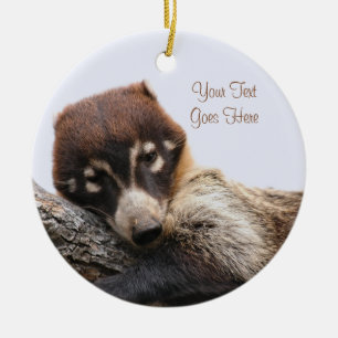 Verzierung: Coatimundi #4 (Kreis) Keramikornament