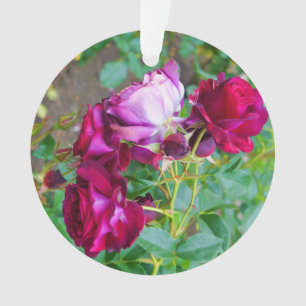 Verzierung der wildes Blau-Yonder Rosen-#1 Ornament
