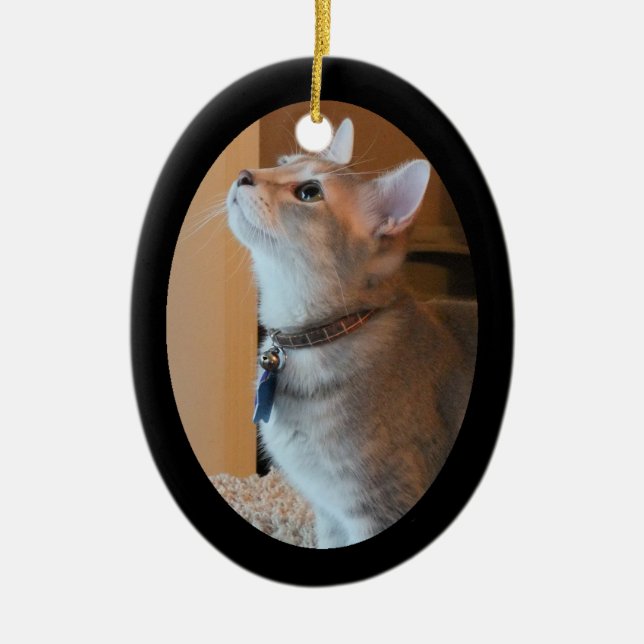 Verzierung des Jaspis-Kätzchen-Foto-gerahmte Keramikornament (Vorne)