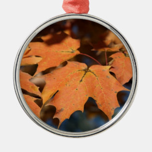 Verzierung im Herbst Silbernes Ornament