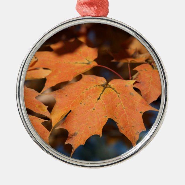Verzierung im Herbst Silbernes Ornament (Vorne)