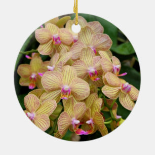 Verzierung - Motten-Orchidee Keramikornament