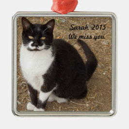 Verzierung: Schwarzes Smokings-Katzen-Sitzen Silbernes Ornament