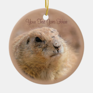 Verzierung: Schwarzschwanziger Präriehund (Kreis) Keramik Ornament