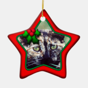 Verzierung, Stern, verdoppeln mit Seiten Keramik Ornament