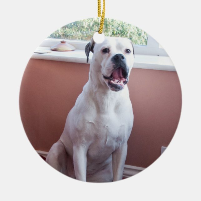 Verzierung: Weißer Boxer-Hund Keramik Ornament (Vorne)