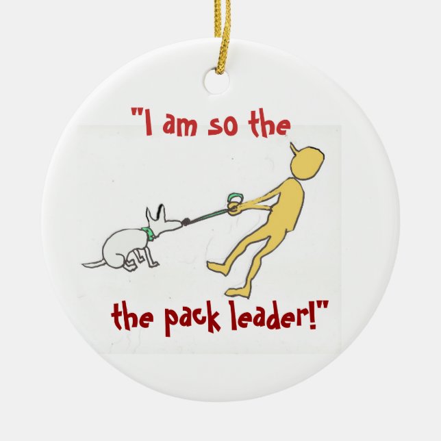 Verzierungs-Hundetrainer-Spaß Keramik Ornament (Vorne)