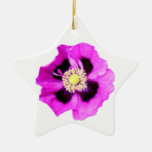 Verzierungssternweiß der orientalischen Mohnblume Keramik Ornament