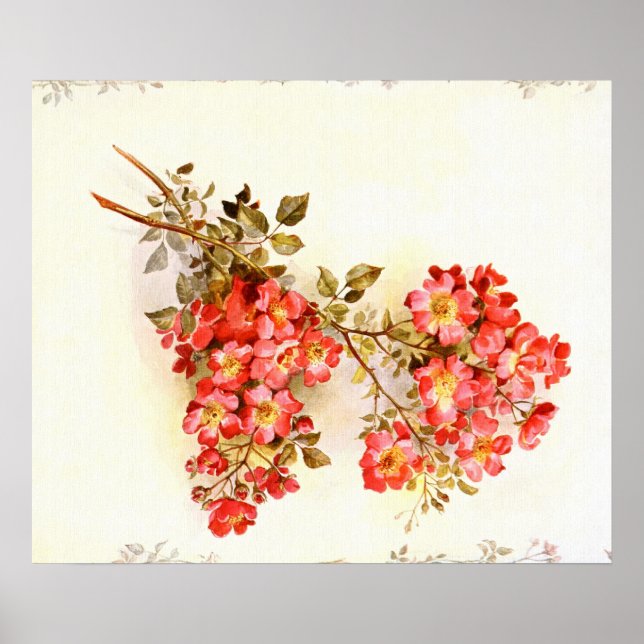 Verzweigung mit benutzerdefinierten Rose-Blume Poster (Vorne)