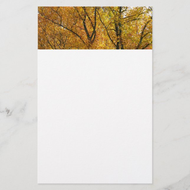 Verzweigungen gelber Blätter Heller Herbst farbenf Briefpapier (Vorderseite)