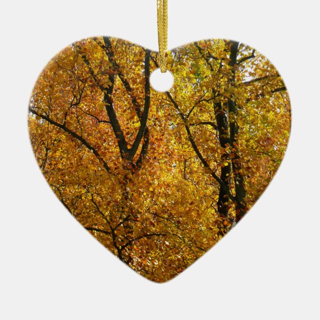 Verzweigungen gelber Blätter Heller Herbst farbenf Keramik Ornament (Vorne)