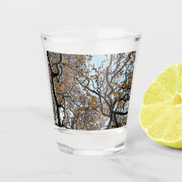 Verzweigungen mit orangefarbenen Blätter Schnapsglas