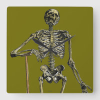 Vesalius: Skelettartiges System