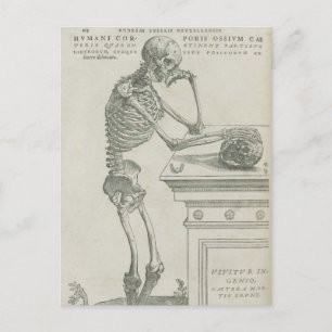 Vesalius Skelettbild Postkarte