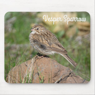 Vesper Sparrow Mousepad