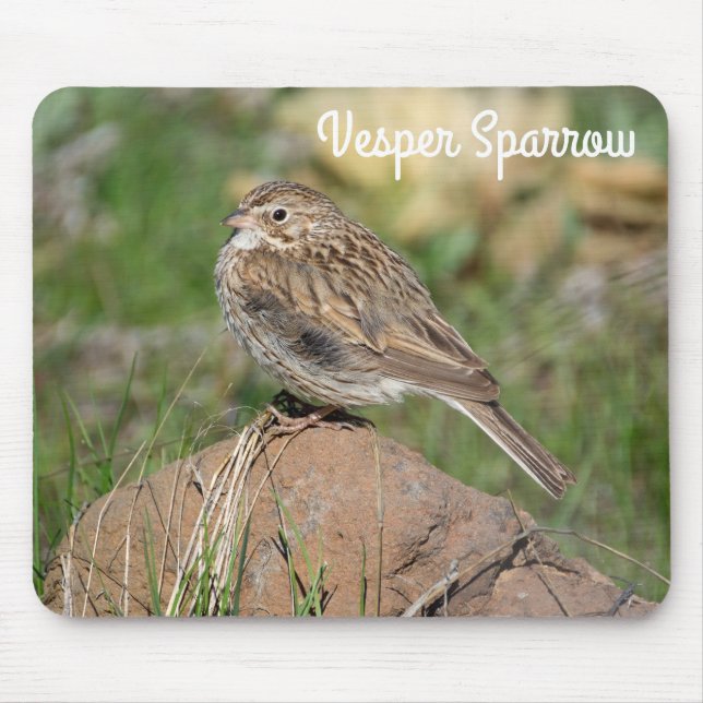 Vesper Sparrow Mousepad (Vorne)