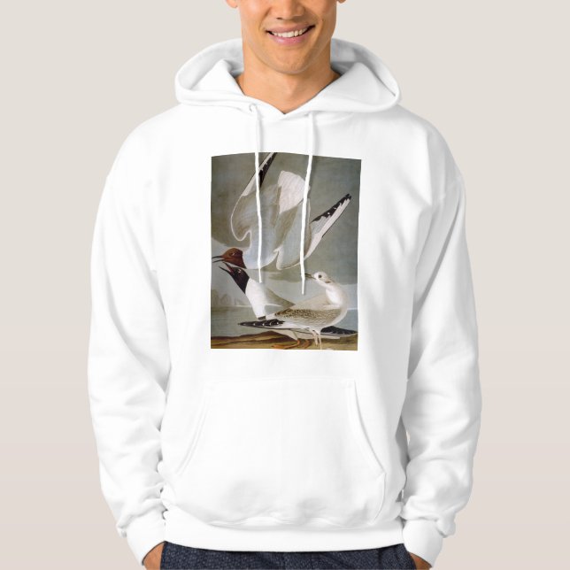Veste À Capuche Audubon : La mouette de Bonaparte (Devant)