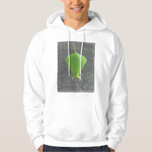 Veste À Capuche Barringtonia Acutangula