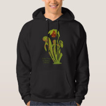 Californica de Darlingtonia, plante carnivore