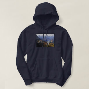 Veste À Capuche Château de Neuschwanstein Allemagne, Bavière