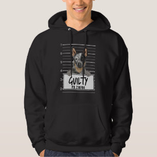 Veste À Capuche Chien de Bétail Australien Photo d'identité Chien