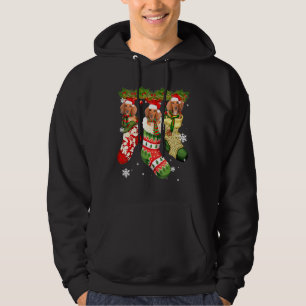 Veste À Capuche Dachshund En Sock Noël Noël Noël Chapeau Noël Chie