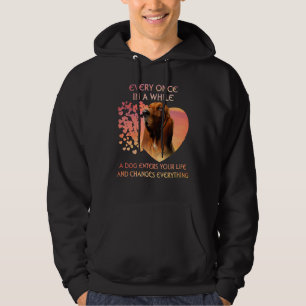 Veste À Capuche De Temps En Temps, Un Hound Basset Entre Dans Vous