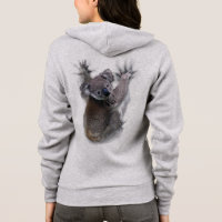 Koala Hang Sur Le Dos Cute Ours Australie Animal