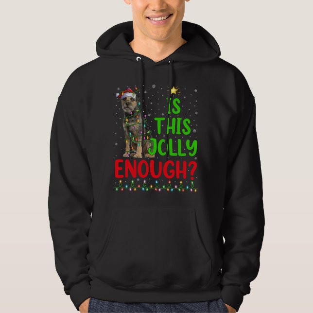 Veste À Capuche L'Arbre De Noël Est Cette Jolie Assez Frontale Ter (Devant)