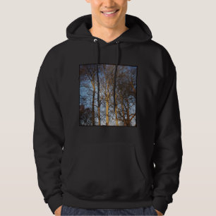 Veste À Capuche Photo carré - Arbres d'hiver illuminés par le sole